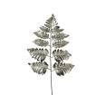 Κλαδί Φτέρης,μεταλλική βαφή, ασημί 58cm