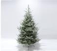 Frosted Mountain tree 210cm