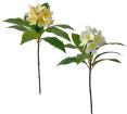 Κλαδί Φούλι σε 2 χρ.(Λευκό & Κίτρινο) 85cm