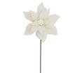 Forest Poinsettia Ivory,d.30cm 