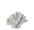 Διακοσμητικό κοράλι από πολυρητίνη 13x7.5cm