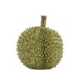 Eξωτικό φρούτο Durian πράσινο χρ19.5cm