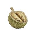 Eξωτικό φρούτο Durian πράσινο/χρυσό χρ.15cm