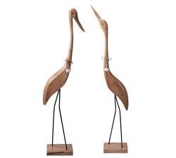 Διακοσμητικά πουλιά 