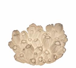 Επιτραπέζιο φωτιστικό κοράλι, 33x19.5cm