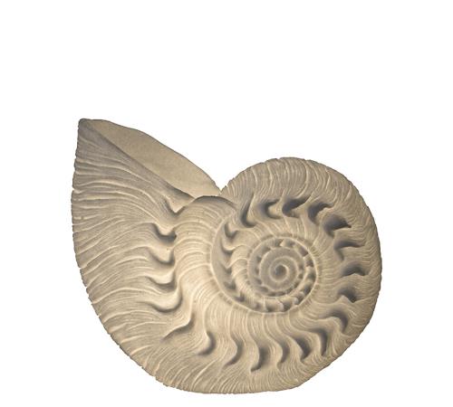 Επιτραπέζιο φωτιστικό κοχύλι "Ναυτίλος", 43x19.7cm