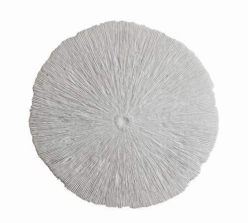 Διακοσμητικο κοράλι τοίχου, δ.47cm