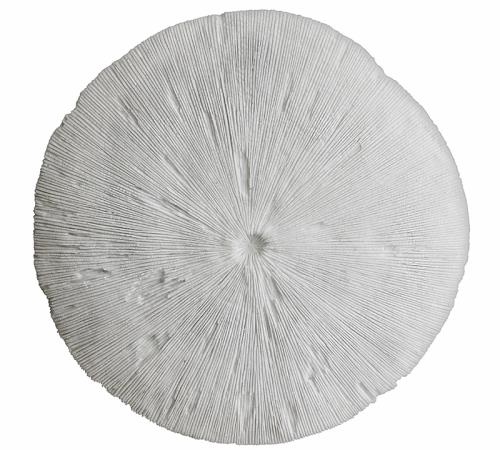 Διακοσμητικο κοράλι τοίχου, δ.61cm