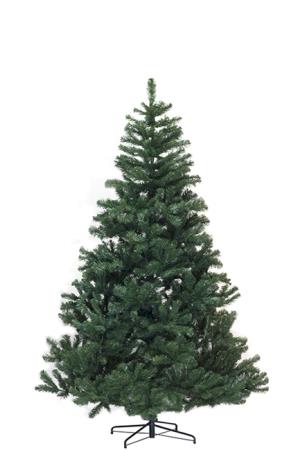 Χριστουγεννιάτικο Δέντρο Colorado 180cm