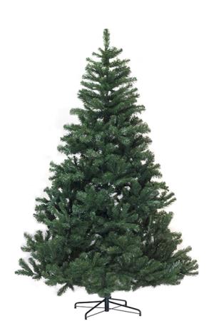Χριστουγεννιάτικο Δέντρο Colorado 210cm