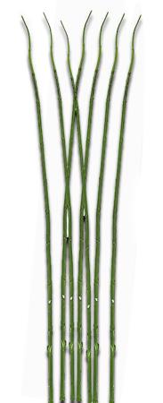 Κλαρί Bamboo 100cm