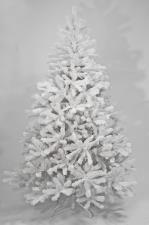 Λευκό Χριστουγεννιάτικο Δέντρο White Pine (1.143 κλ.) 210cm