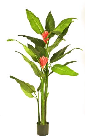 Τεχνητό Φυτό Musa Coccinea 180cm