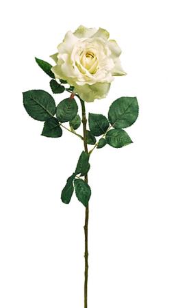 Τριαντάφυλο "Georgia" σε χρώμα Μέντας