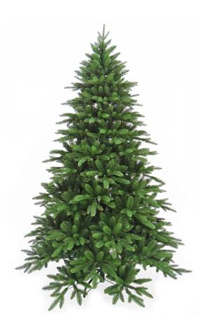 Χριστουγεννιάτικο Δέντρο Douglas 210cm