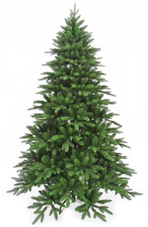 Χριστουγεννιάτικο Δέντρο Douglas 240cm