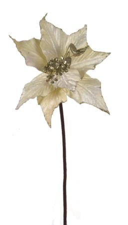 Χριστουγεννιάτικο Λουλούδι Αλεξανδρινό (Βελουτέ) Εκρού 60cm