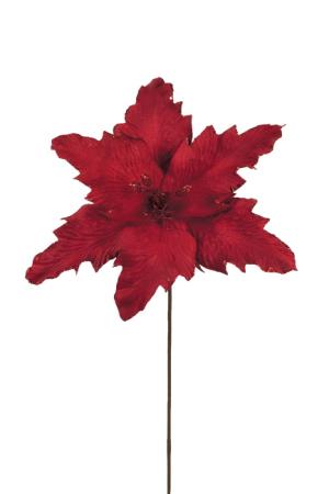Χριστουγεννιάτικο Λουλούδι Αλεξανδρινό Πικ Κόκκινο XL 35cm