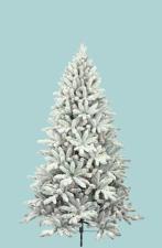Χριστουγεννιάτικο Δέντρο ALASKA PINE 180cm