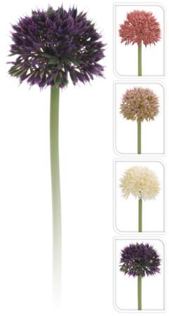 Λουλούδι Αλιουμ (mini) σε 4χρ.,35cm