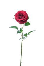 Τριαντάφυλλο Laura κόκκινο χρ.78cm