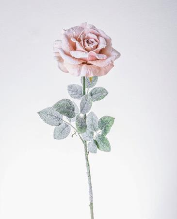 Τριαντάφυλλο Georgia με πάγο "Old pink".78cm