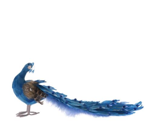 Διακοσμητικό παγώνι, χρυσό/μπλε φτερό, 16cm