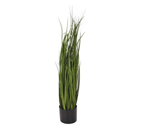 Φύλλα Grass σε γλάστρα, 85cm