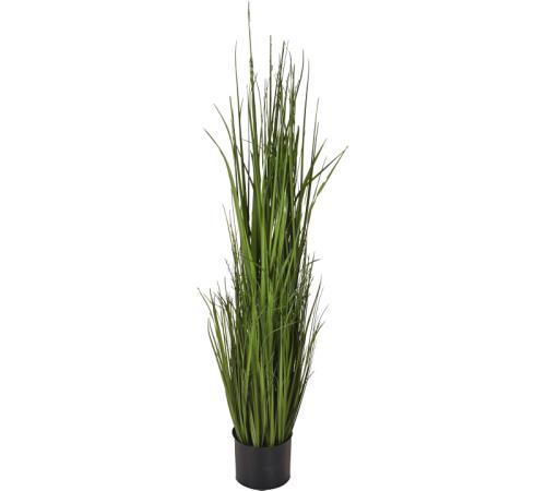Φύλλα Grass σε γλάστρα, 110cm