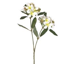 Διπλό κλαρί με άνθη πικρoδάφνης, κρεμ/κίτρινο,77cm