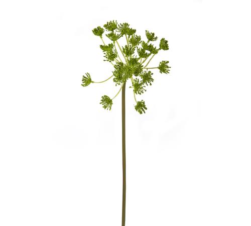 Κλαρί πράσινα άνθη για συνθέσεις, 70cm