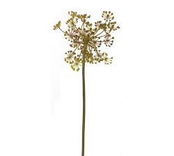 Κλαρί καφέ/πράσινα άνθη για συνθέσεις, 70cm