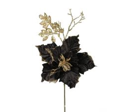 Κλαρί αλεξανδρινό λουλούδι μαύρο βελούδο