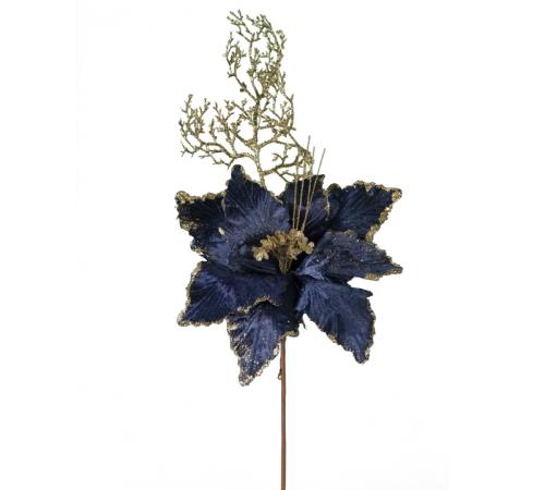 Κλαρί αλεξανδρινό λουλούδι, μπλε royal βελούδο