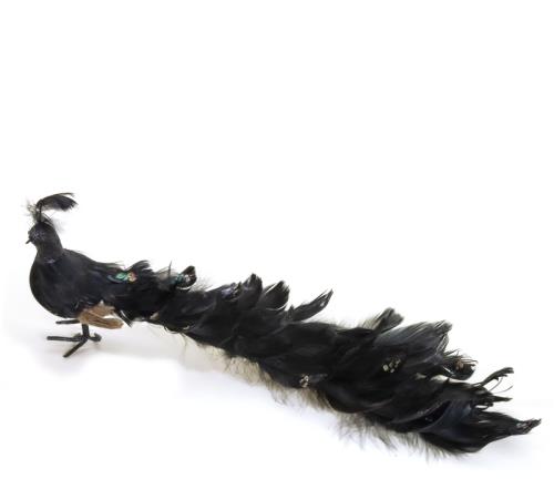 Διακοσμητικό παγώνι μαύρο φτερό, 5050x16cm