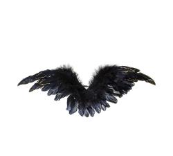 Διακοσμητικά φτερά σε σε μαύρο χρ.,37x18cm
