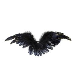 Διακοσμητικά φτερά σε σε μαύρο χρ.,58x26cm
