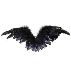 Διακοσμητικά φτερά σε σε μαύρο χρ.,65x29cm