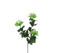 Κλαδί βιβούρνο, λευκά άνθη,56cm