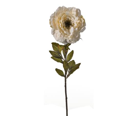 Τριαντάφυλλο "Benjamin", vintage λευκό χρ.,84cm