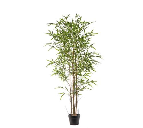 Φυτό Bamboo με 1296 φύλλα,150cm
