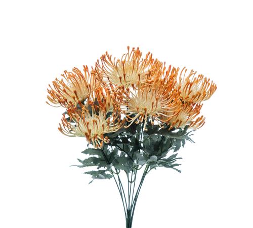 Μπουκέτο πρωτέα (9 λουλ.) πορτοκαλί χρ., 70cm