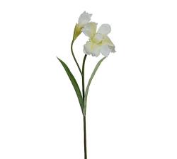 Κλαδί Iris x 1 μπουμπούκι, λευκό 94cm