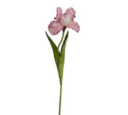 Λουλούδι Iris απαλό ρόζ, 94cm