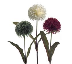 Λουλούδι Αλιουμ, κρεμ/πράσινο/ροδί, 72cm