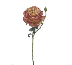 Τριαντάφυλλο Elisabeth, χρώμα 