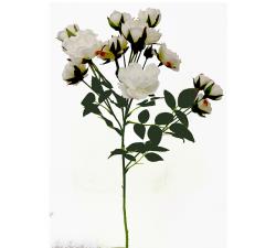 Μπουκέτο με λευκά τριαντάφυλλα  55cm