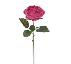 Τριανταφυλλο Elisabeth κρεμ/ροζ,51cm