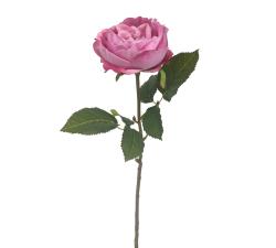 Τριανταφυλλο Elisabeth σε ροζ χρ.,51cm
