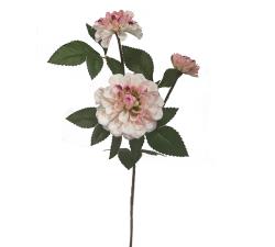 Χρυσάνθεμο με 3 άνθη κρεμ/ροζ,65cm